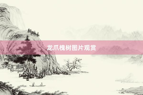 龙爪槐树图片观赏