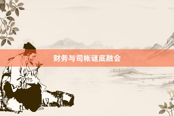 财务与司帐谜底融会